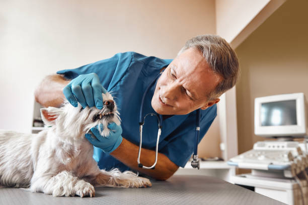 Best Emergency Treatment for Oral Infections in Cleves, OH